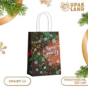 Пакет подарочный крафт 15см*21см*8см Чудеса